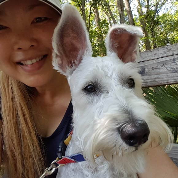 Meet your Posher, Beatrice - Picture 3 of 12